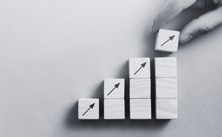 Integrated Financial Management Solutions